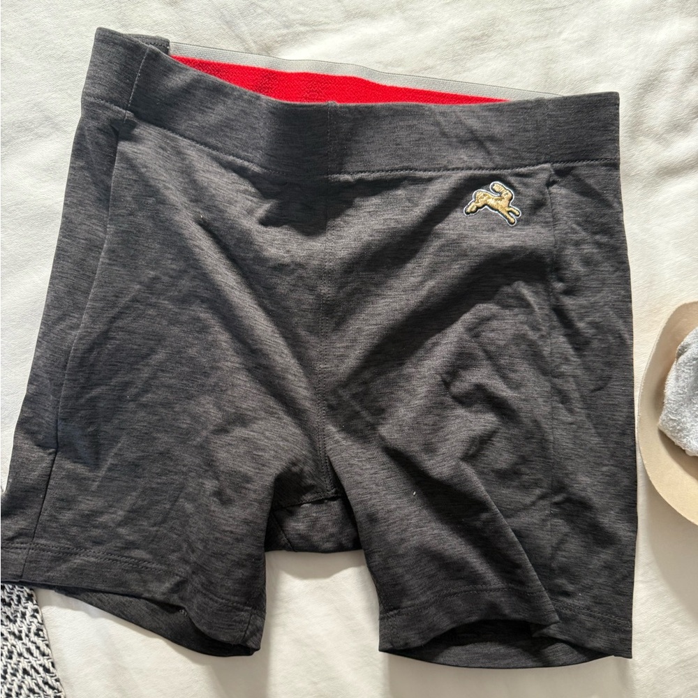 Tracksmith shorts